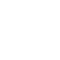 Dollar icon